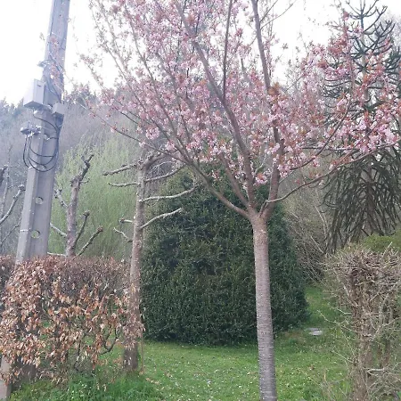 Holiday home Ardennen Les Forges, Chevron *